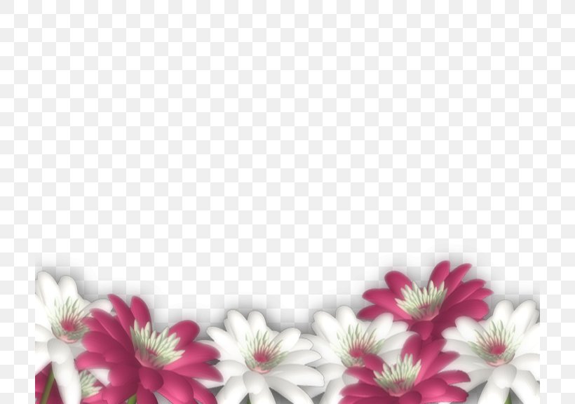 Picture Frames Slide Show 8 March, PNG, 720x576px, 8 March, Picture Frames, Blossom, Chrysanths, Cut Flowers Download Free