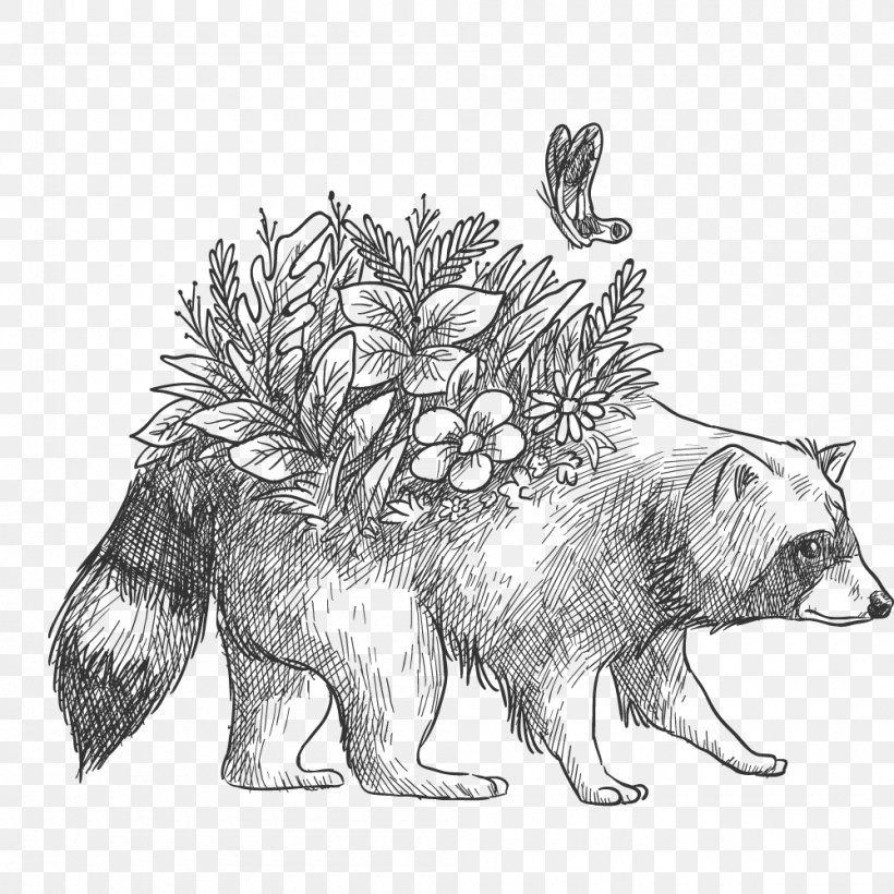 Raccoon Red Panda Image Drawing Coloring Book, PNG, 1000x1000px, Raccoon, Bear, Carnivore, Cartoon, Coloring Book Download Free