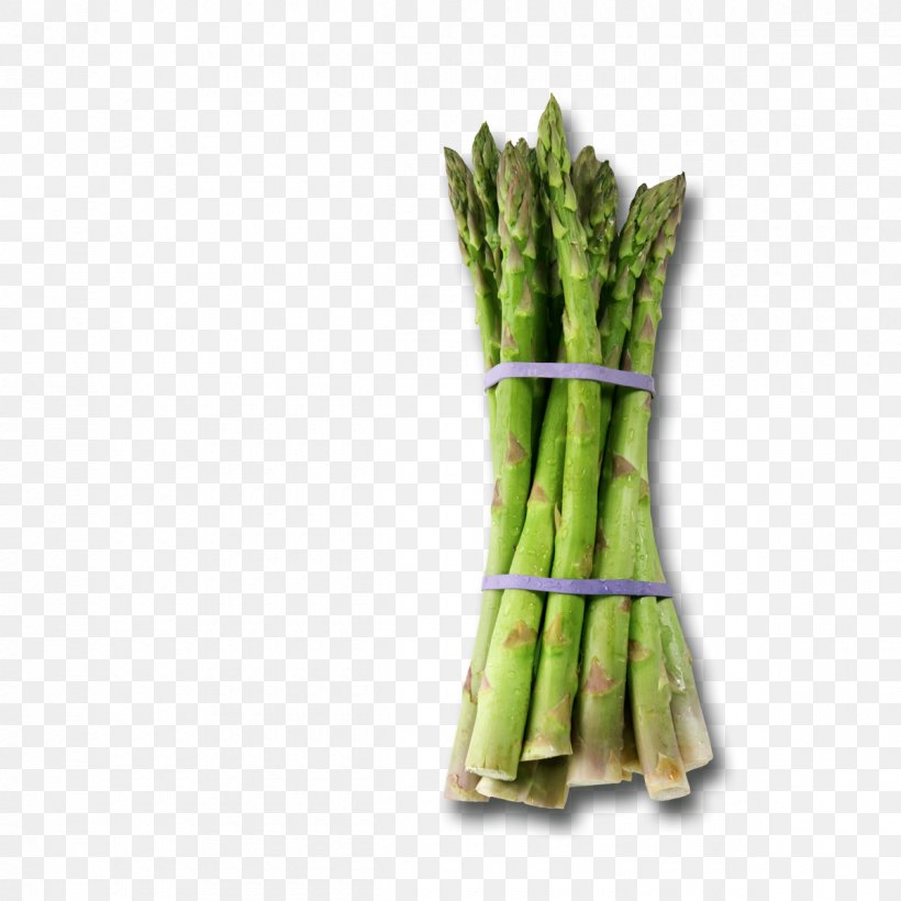 Asparagus Recipe Crème Fraîche Leek Soup, PNG, 1200x1200px, Asparagus, Allium Fistulosum, Commodity, Diplom Ishi, Fennel Download Free