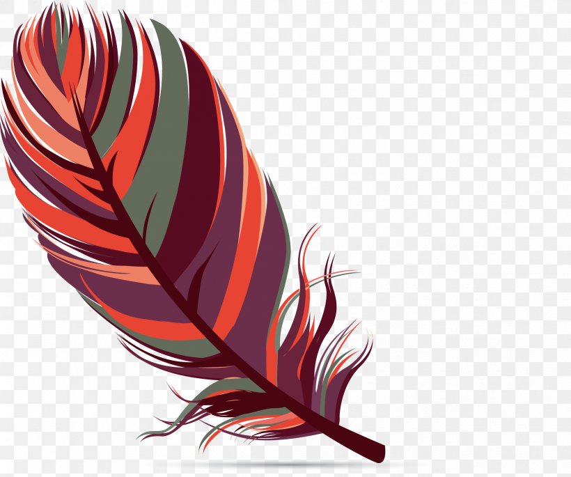 Bird Feather, PNG, 2421x2024px, Bird, Color, Drawing, Feather, Red Download Free