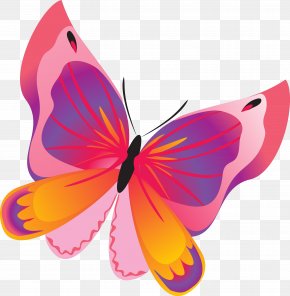 Red Butterfly - Butterflies And Moths Brothers Grimm Yandex Search Clip Art PNG