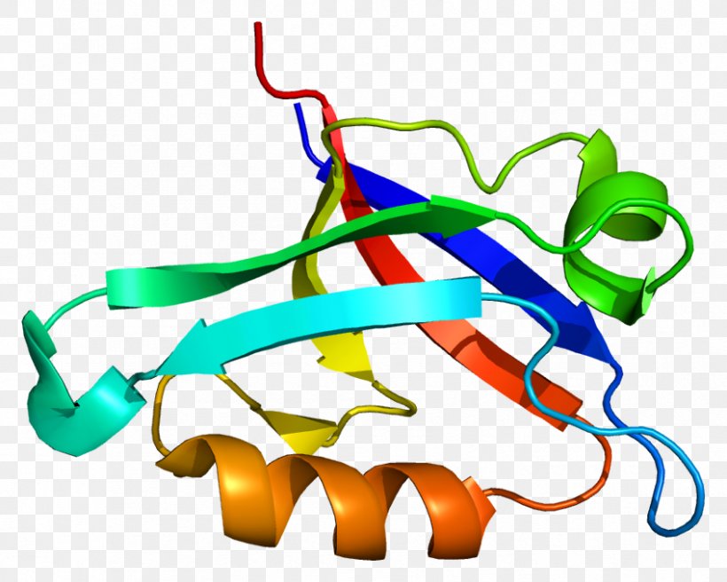 GOPC Protein PDZ Domain CSPG5 Nest, PNG, 848x679px, Protein, Area, Coiled Coil, Cterminus, Gene Download Free