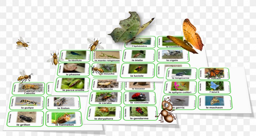Organism Nomenclature Biodiversity Language 0, PNG, 1490x791px, 2018, Organism, Biodiversity, Fauna, Language Download Free