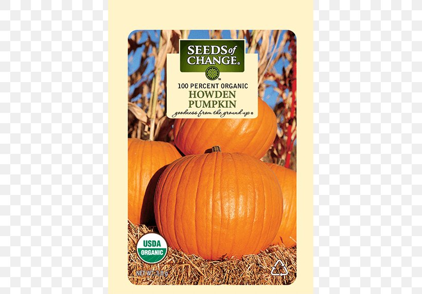 Pumpkin Winter Squash Organic Certification Organic Food Thanksgiving, PNG, 573x573px, Pumpkin, Calabaza, Certification, Cucurbita, Gourd Download Free