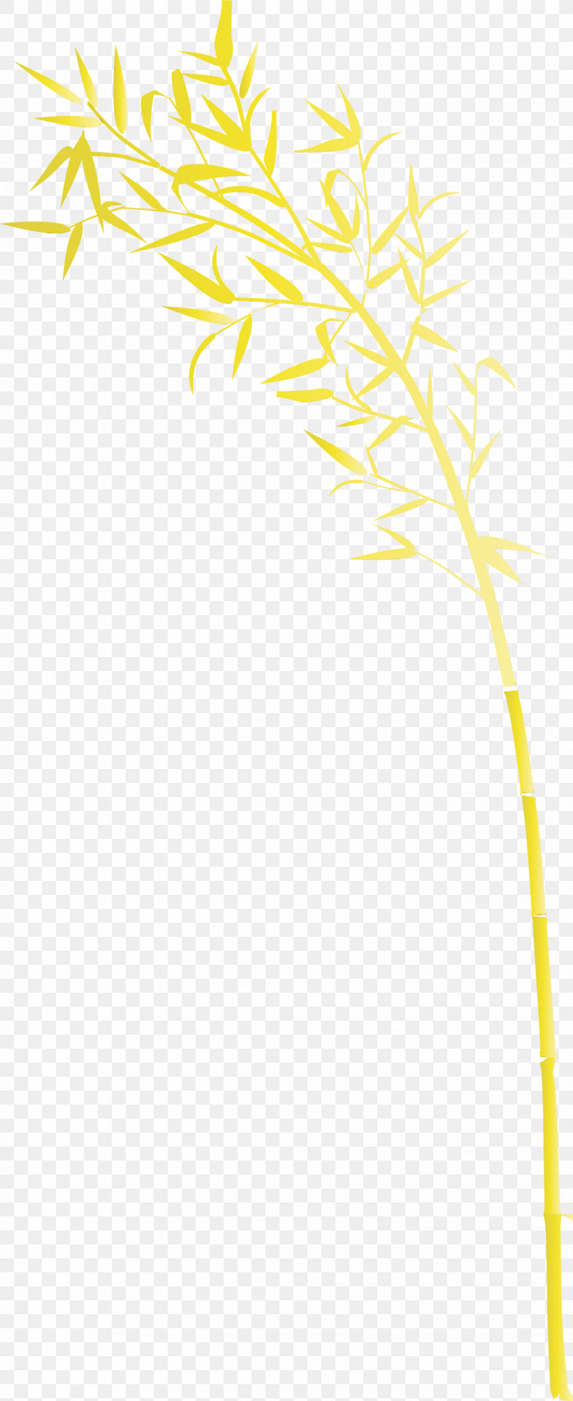 Yellow Line Plant Plant Stem Twig, PNG, 1227x3000px, Bamboo, Leaf, Line, Paint, Plant Download Free