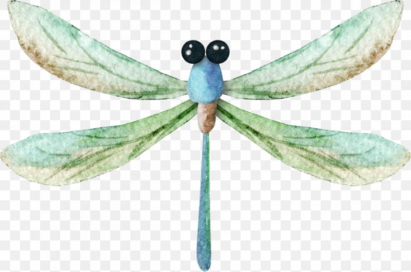 Dragonfly Watercolor Painting Icon, PNG, 1302x863px, Dragonfly, Arthropod, Dragonflies And Damseflies, Insect, Invertebrate Download Free