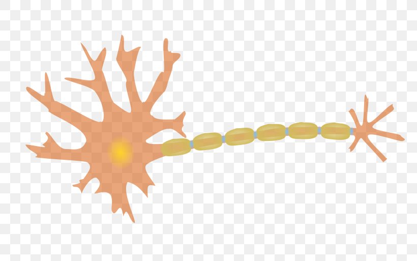 brain cell camera clipart