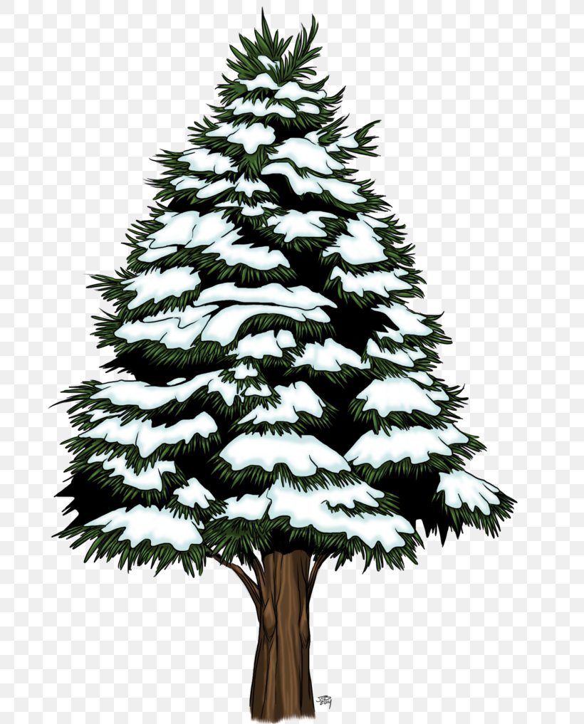 Spruce Fir Pine Christmas Tree Christmas Ornament, PNG, 786x1017px, Spruce, Branch, Branching, Christmas, Christmas Decoration Download Free