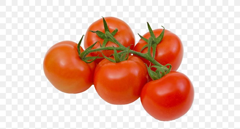 Plum Tomato Bush Tomato Vegetable Food Roma Tomato, PNG, 574x444px, Plum Tomato, Bush Tomato, Diet Food, Eating, Food Download Free