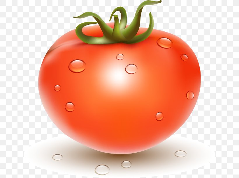 Plum Tomato Tomato Juice Cherry Tomato Bush Tomato, PNG, 658x612px, Plum Tomato, Bush Tomato, Cherry Tomato, Diet Food, Food Download Free