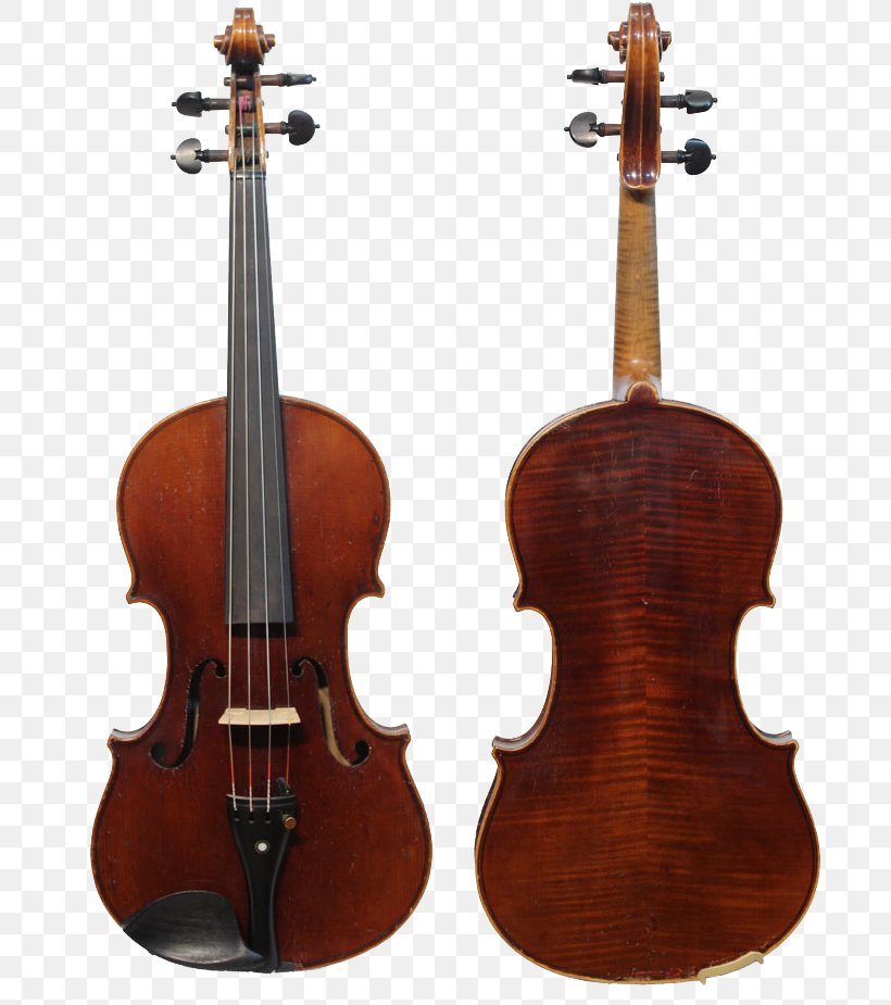 Stradivarius Violin Amati Cello String Instruments, PNG, 720x925px, Stradivarius, Acoustic Electric Guitar, Amati, Antonio Stradivari, Bass Guitar Download Free