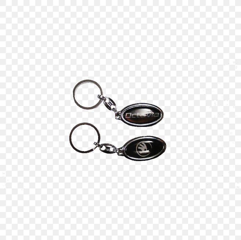 Key Chains Silver, PNG, 800x815px, Key Chains, Fashion Accessory, Hardware, Keychain, Metal Download Free