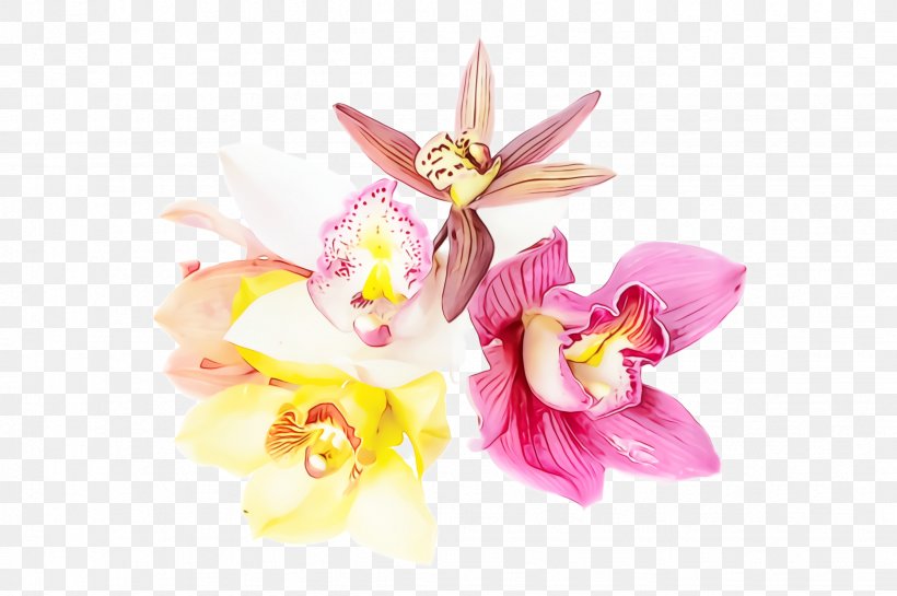 Artificial Flower, PNG, 2452x1632px, Watercolor, Artificial Flower, Cattleya, Cut Flowers, Flower Download Free