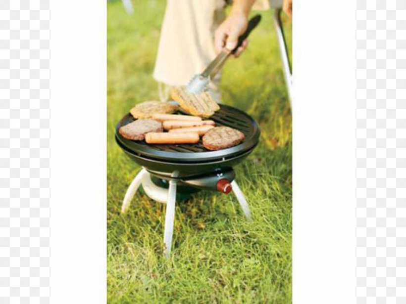 Barbecue Coleman Company Grilling Propane Coleman RoadTrip Party Grill, PNG, 1024x768px, Barbecue, Animal Source Foods, Barbecue Grill, Coleman Company, Coleman Roadtrip Lxe Download Free
