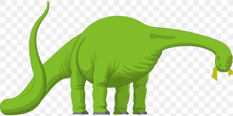 Brachiosaurus Dinosaur Size Clip Art, PNG, 960x480px, Brachiosaurus, Brontosaurus, Dinosaur, Dinosaur Size, Drawing Download Free