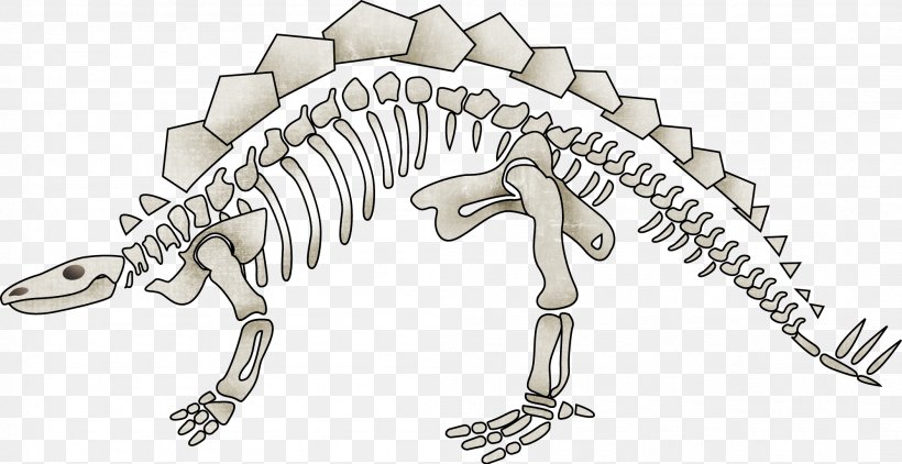 Dinosaur Tyrannosaurus Human Skeleton Bone, PNG, 2104x1084px, Dinosaur, Animal, Bone, Cartoon, Dinosaur Egg Download Free
