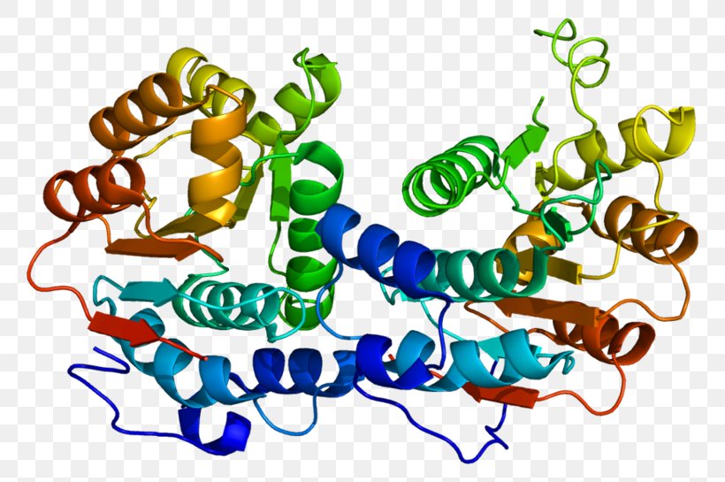 EIF4A1 EIF4E Chemistry Delft, PNG, 800x545px, Chemistry, Area, Artwork, Crystal Structure, Delft Download Free