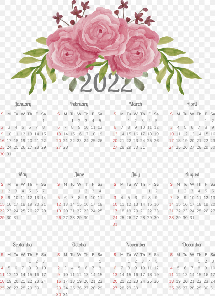Floral Design, PNG, 3768x5189px, Floral Design, Biology, Calendar, Flower, Petal Download Free