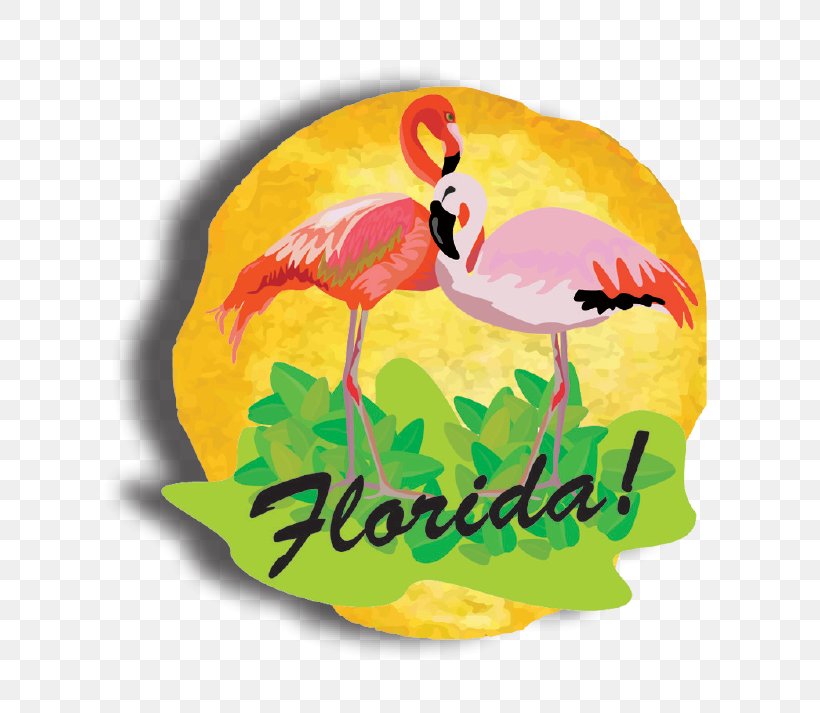 Florida Beak, PNG, 767x713px, Florida, Beak, Bird, Fauna, Flamingo Download Free