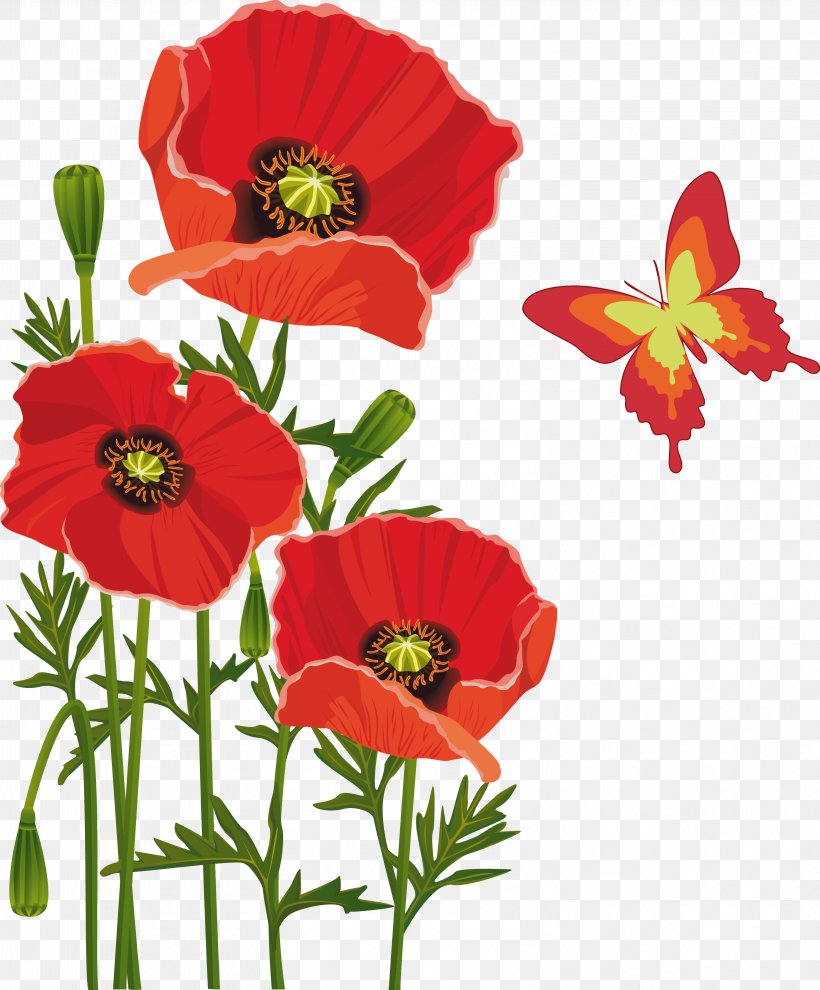 Poppy Flower Bouquet Butterfly, PNG, 3154x3809px, Poppy, Annual Plant, Butterfly, Coquelicot, Cut Flowers Download Free