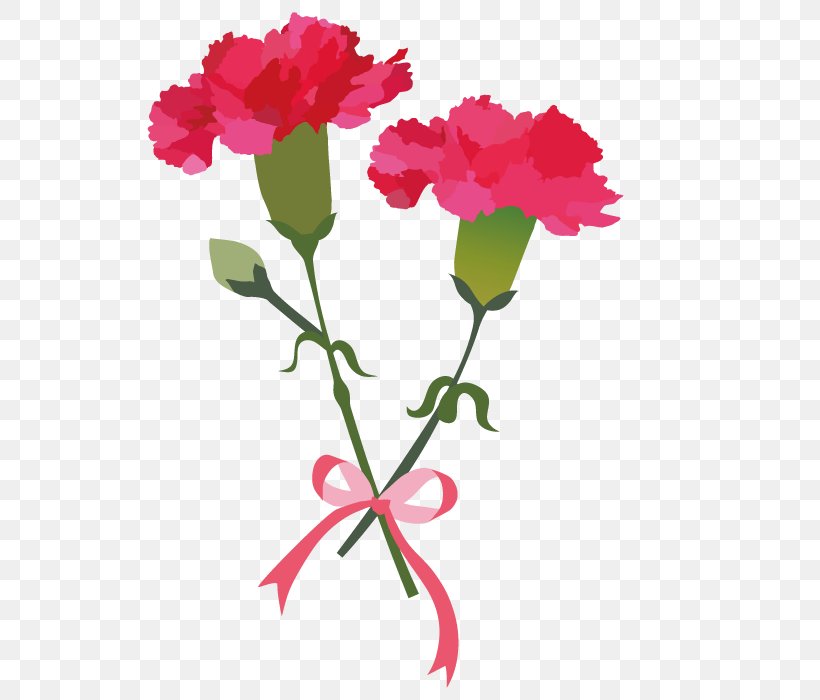 Carnation Flower For Mothers Day., PNG, 600x700px, Carnation, Annual Plant, Cut Flowers, Dianthus, Flora Download Free