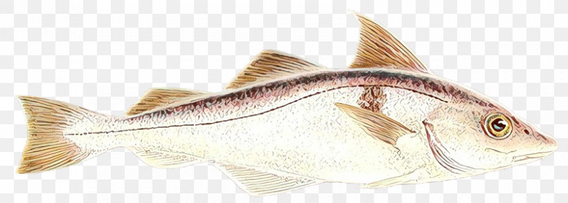 Fish Fish, PNG, 840x302px, Fish Download Free