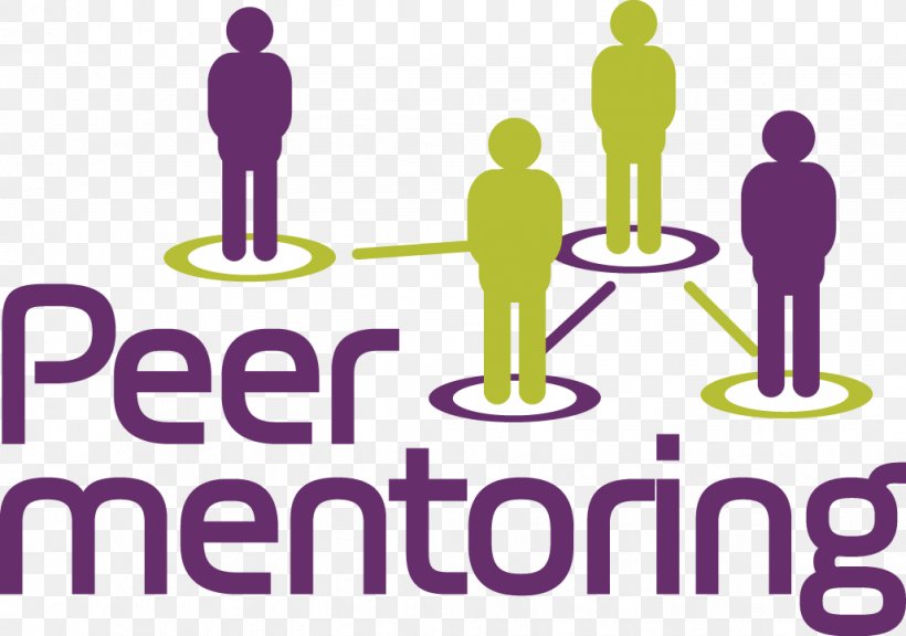 Mentorship Peer Mentoring Career Student Information, PNG, 1028x723px, Mentorship, Adur District, Area, Brand, Career Download Free