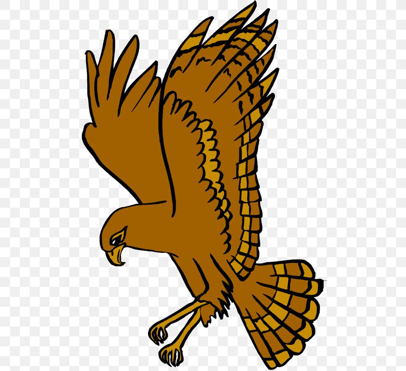 West Delaware High School Hawk National Secondary School Clip Art, PNG, 502x750px, Hawk, Artwork, Beak, Bird, Bird Of Prey Download Free