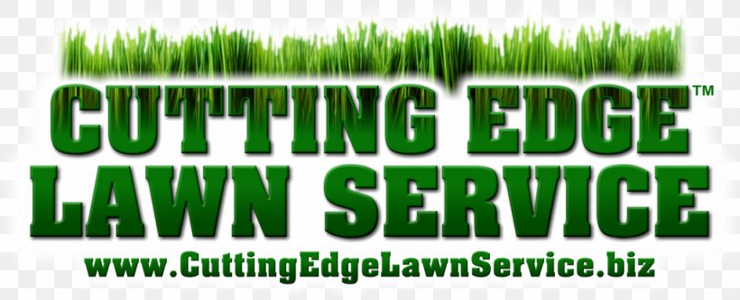 Wheatgrass Logo Lawn Green Font, PNG, 1024x417px, Wheatgrass, Brand, Grass, Grass Family, Green Download Free