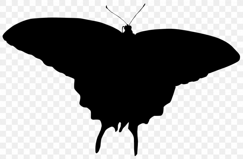 Brush-footed Butterflies Moth Clip Art Silhouette, PNG, 1548x1010px, Brushfooted Butterflies, Blackandwhite, Butterfly, Insect, Invertebrate Download Free
