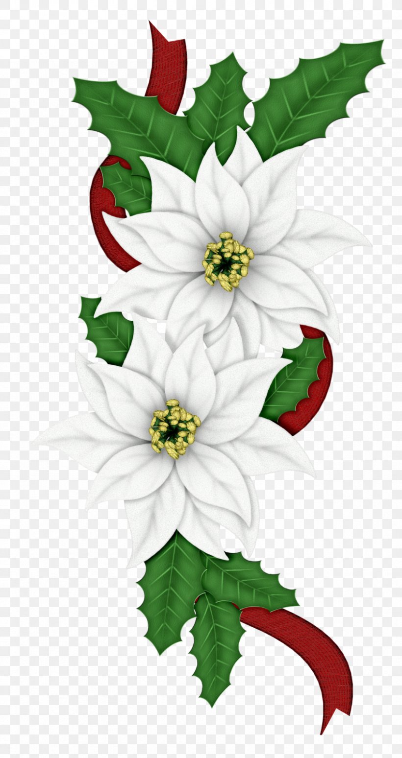 Christmas Poinsettia Candy Cane Flower Clip Art, PNG, 847x1600px, Christmas, Aquifoliaceae, Aquifoliales, Art, Artwork Download Free