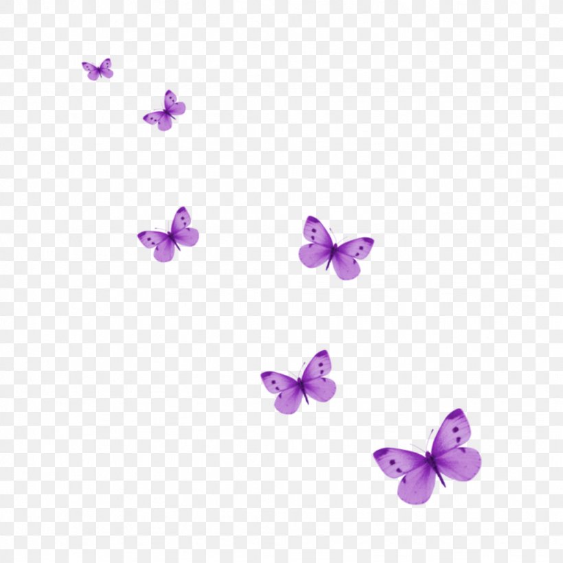 Glasswing Butterfly Clip Art Transparency, PNG, 1024x1024px, Butterfly, Drawing, Glasswing Butterfly, Insect, Lavender Download Free