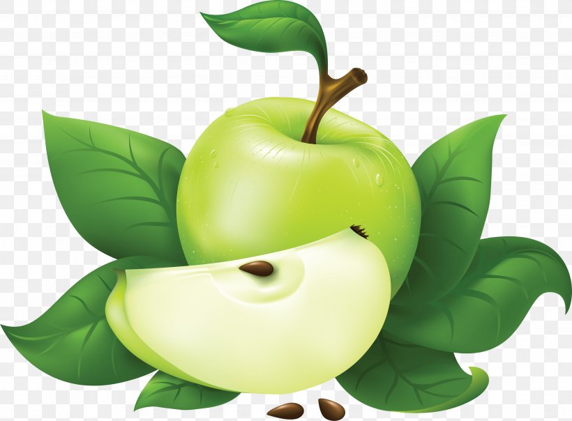 Apple Clip Art, PNG, 3497x2576px, Apple, Cdr, Food, Fruit, Granny Smith Download Free