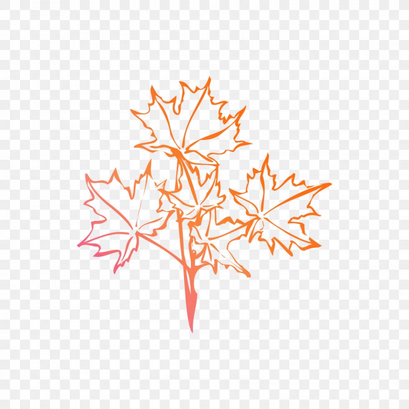 Maple Leaf Line Font, PNG, 1600x1600px, Maple Leaf, Leaf, Plant, Tree Download Free