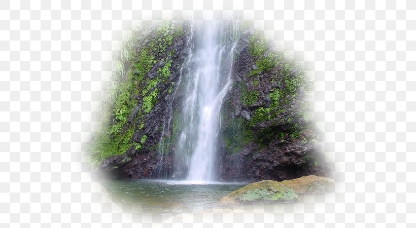 Waterfall Capesterre-Belle-Eau Les Fruits De Goyave Eau Garden, PNG, 600x450px, Waterfall, Body Of Water, Capesterrebelleeau, Chute, Garden Pond Download Free