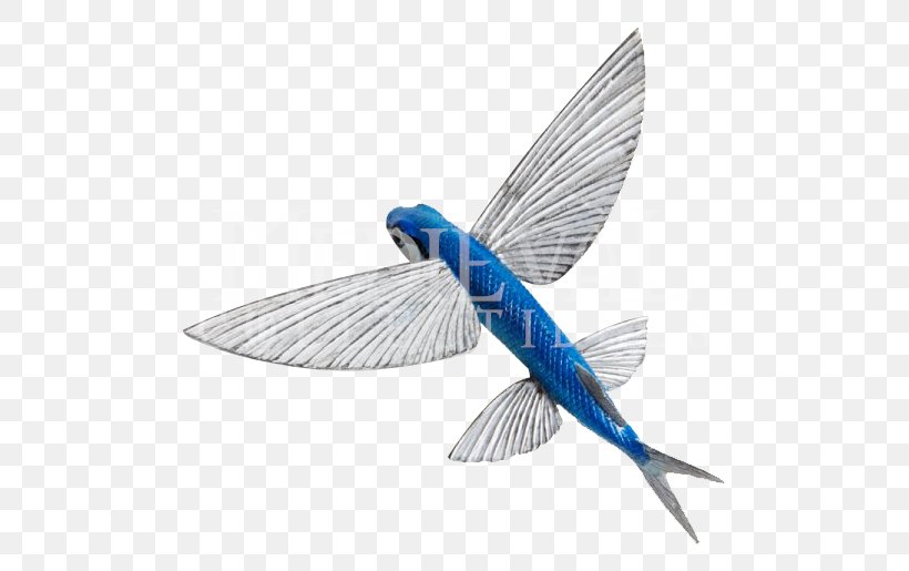 Fish Anatomy Atlantic Flyingfish Animal Figurine Blue Flying Fish, PNG, 515x515px, Fish, Animal, Animal Figurine, Bird, Despicable Me Download Free