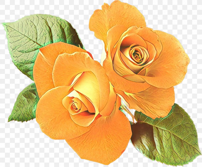 Garden Roses Floribunda Cut Flowers Petal, PNG, 1000x827px, Garden Roses, Artificial Flower, Austrian Briar, Begonia, Cut Flowers Download Free