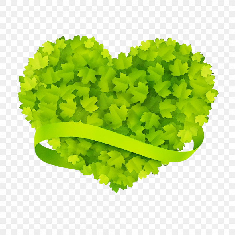 Green Leaf Leaf Vegetable Plant Grass, PNG, 1000x1000px, Watercolor, Flower, Grass, Green, Heart Download Free