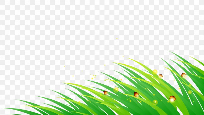 Hand-painted Grass, PNG, 1419x800px, Cartoon, Firefly, Grass, Green, Leaf Download Free