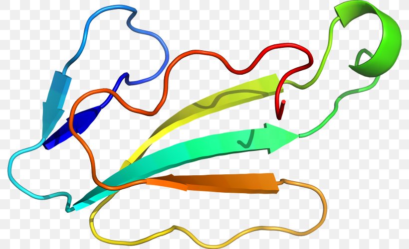 Line Clip Art, PNG, 790x500px, Organism, Area, Artwork Download Free