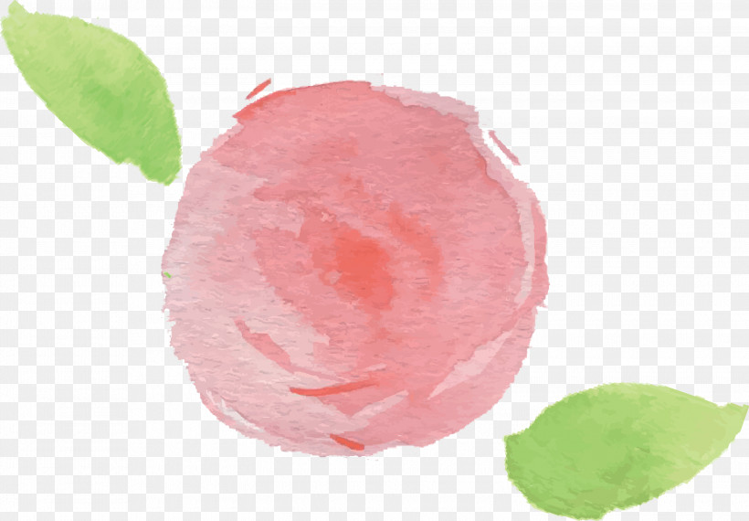 Pink Plant Fruit Flower, PNG, 3000x2089px, Watercolor Flower, Flower, Fruit, Pink, Plant Download Free