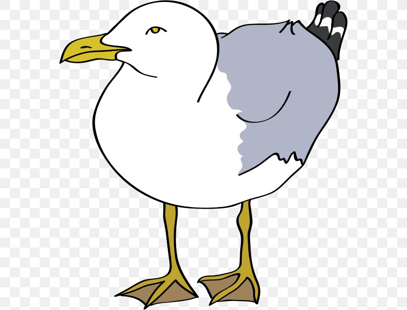 Bird European Herring Gull Common Gull Clip Art, PNG, 581x626px, Bird, Area, Artwork, Beak, Black And White Download Free