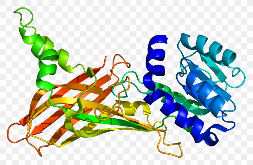 PRMT1 Methyltransferase Gene Protein Histone, PNG, 890x583px, Methyltransferase, Arginine, Art, Artwork, Chromatin Download Free
