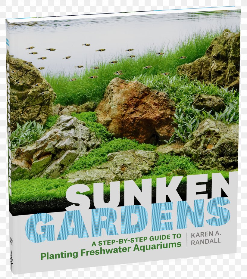 Sunken Gardens: A Step-By-Step Guide To Planting Freshwater Aquariums Encyclopedia Of Aquarium Plants Aquascaping, PNG, 2404x2718px, Garden, Advertising, Aquarium, Aquariums, Aquascaping Download Free