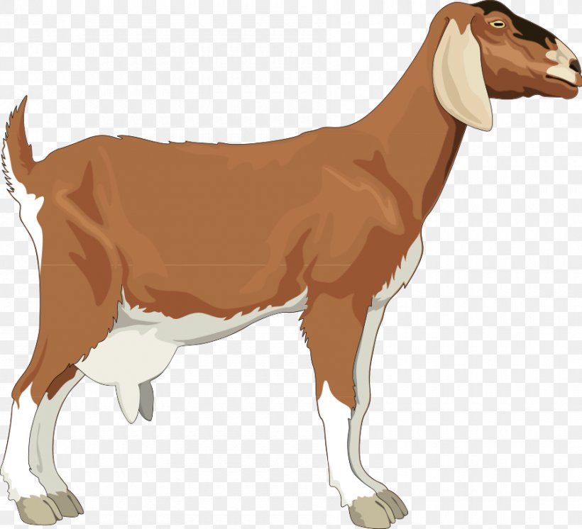 Boer Goat Black Bengal Goat Clip Art, PNG, 900x819px, Boer Goat, Animal, Black Bengal Goat, Cattle Like Mammal, Cow Goat Family Download Free