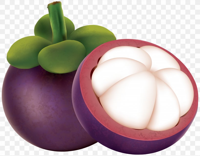 Purple Mangosteen Clip Art, PNG, 8000x6271px, Purple Mangosteen, Cartoon, Chart, Food, Fruit Download Free