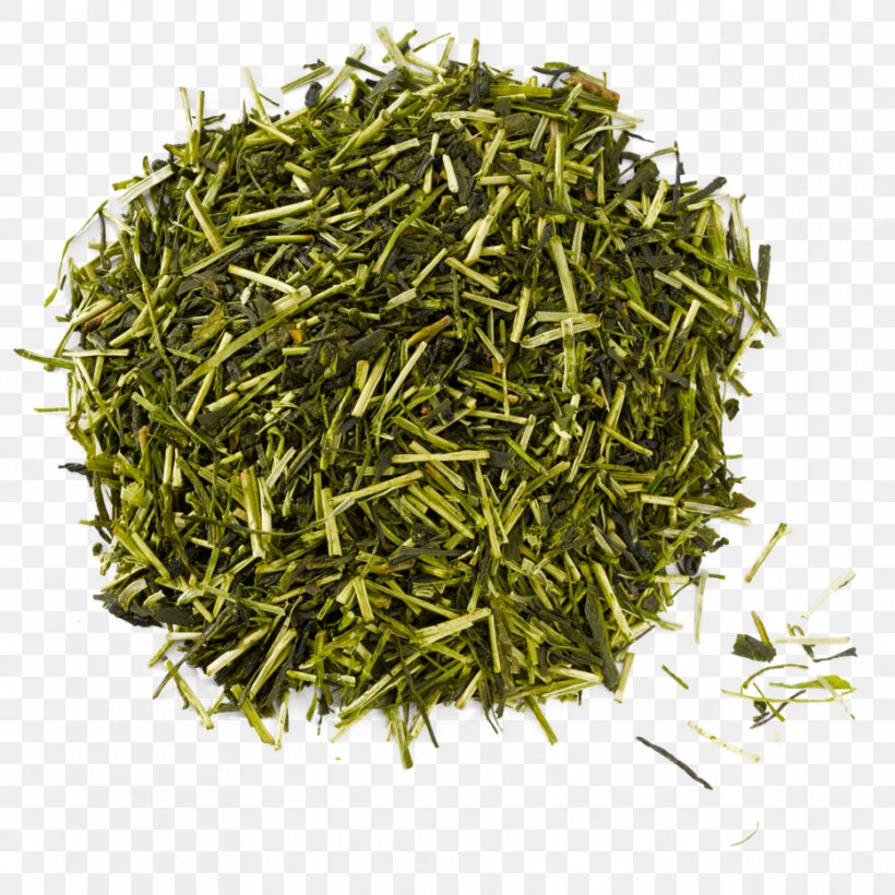 Gyokuro Green Tea Nilgiri Tea Assam Tea, PNG, 933x933px, Gyokuro, Assam Tea, Bai Mudan, Baihao Yinzhen, Bancha Download Free