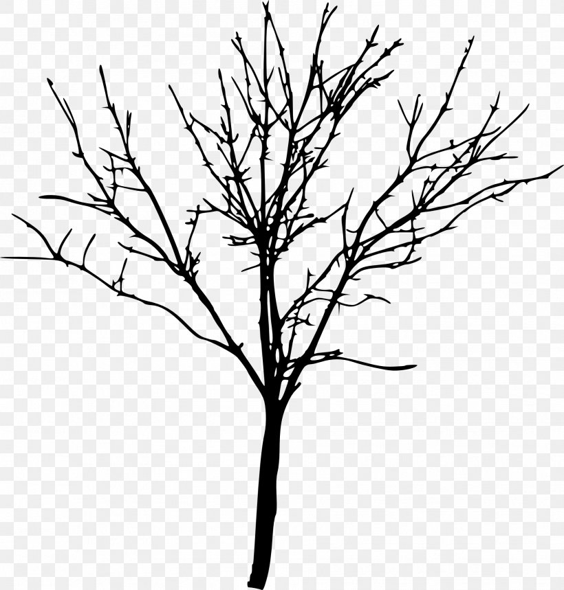 Tree Silhouette Branch Clip Art, PNG, 1908x2000px, Tree, Artwork, Black And White, Branch, Drawing Download Free