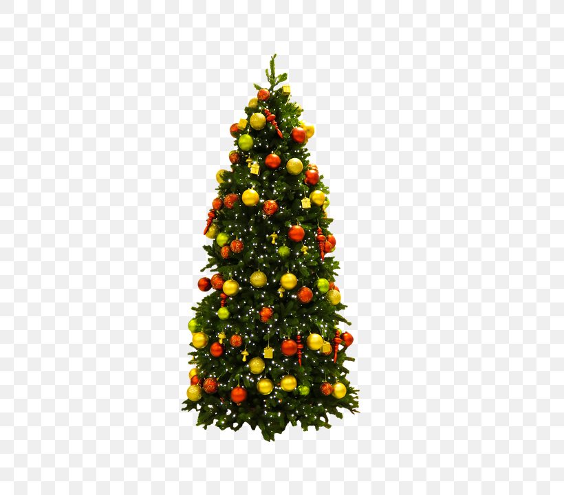 Christmas Tree Christmas Ornament Pentecost Christmas Lights, PNG, 521x720px, Christmas Tree, Child, Christmas, Christmas Card, Christmas Carol Download Free