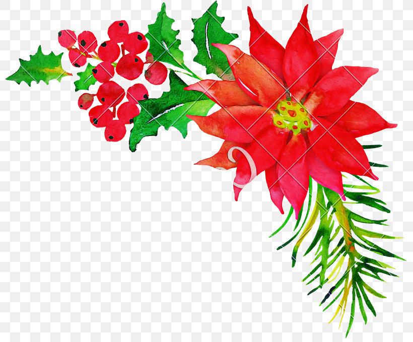 Floral Design, PNG, 800x679px, Floral Design, Bauble, Christmas Day, Christmas Ornament M, Cut Flowers Download Free